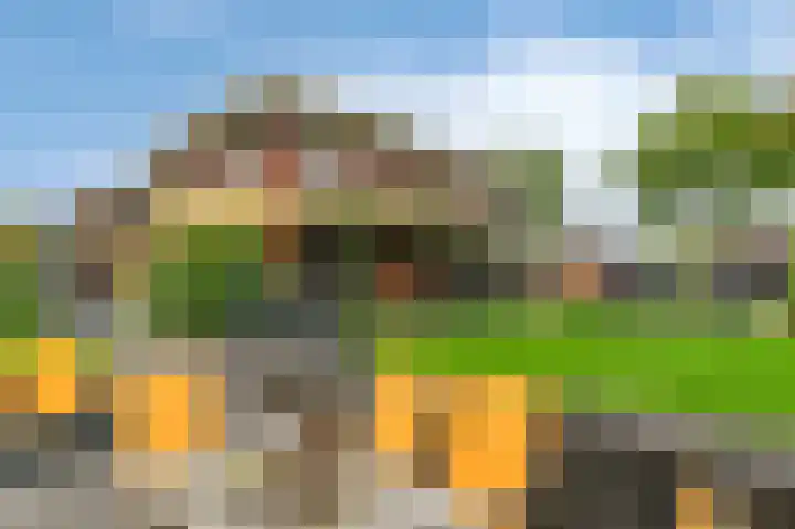 Fonteinkruid 73 Heerenveen thumbnail 56