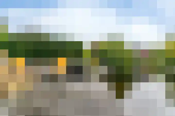 Fonteinkruid 73 Heerenveen thumbnail 57