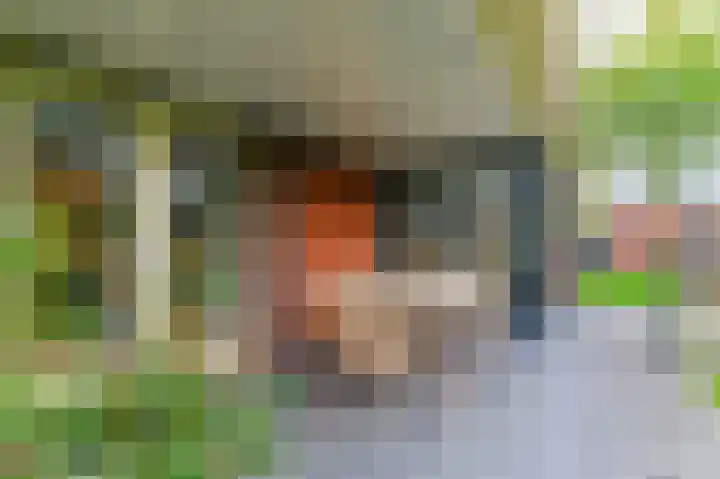 Fonteinkruid 73 Heerenveen thumbnail 58