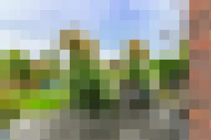 Fonteinkruid 73 Heerenveen thumbnail 61