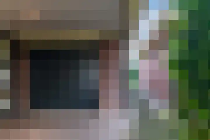 Fonteinkruid 73 Heerenveen thumbnail 63
