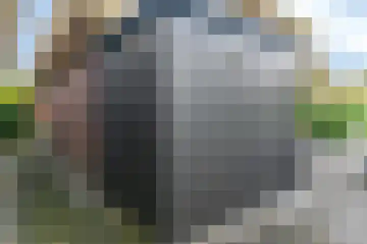 Fonteinkruid 73 Heerenveen thumbnail 64