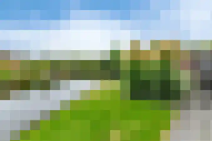 Fonteinkruid 73 Heerenveen thumbnail 65