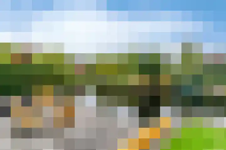 Fonteinkruid 73 Heerenveen thumbnail 66