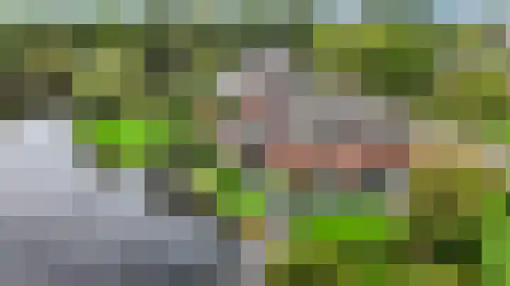 Fonteinkruid 73 Heerenveen thumbnail 68