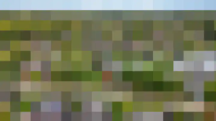 Fonteinkruid 73 Heerenveen thumbnail 70