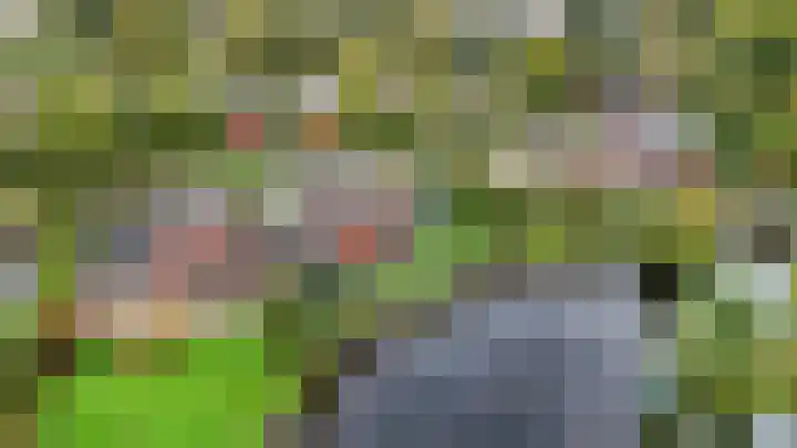 Fonteinkruid 73 Heerenveen thumbnail 71