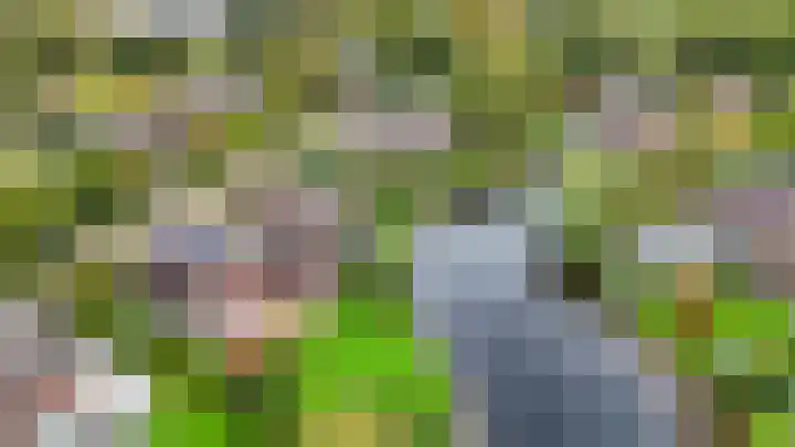 Fonteinkruid 73 Heerenveen thumbnail 72