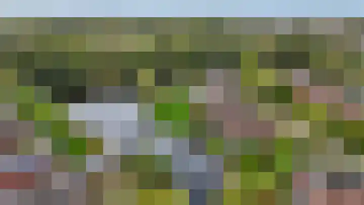 Fonteinkruid 73 Heerenveen thumbnail 73
