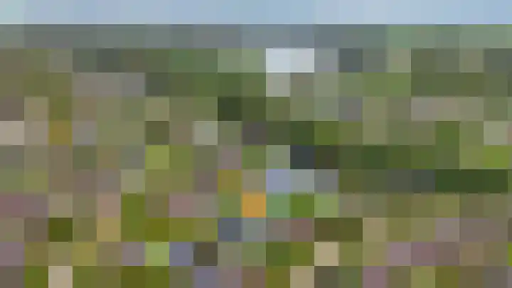 Fonteinkruid 73 Heerenveen thumbnail 74