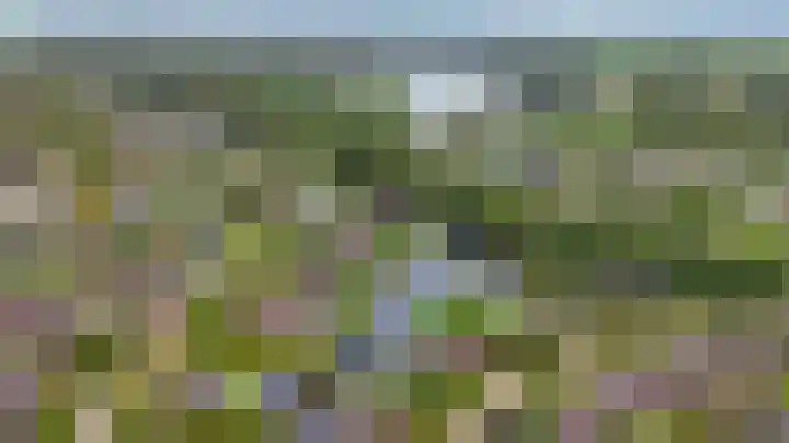 Fonteinkruid 73 Heerenveen thumbnail 75