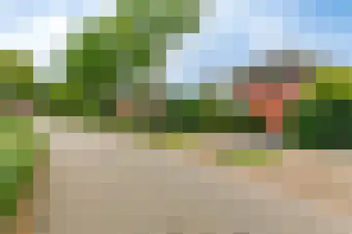 Fonteinkruid 73 Heerenveen thumbnail 9