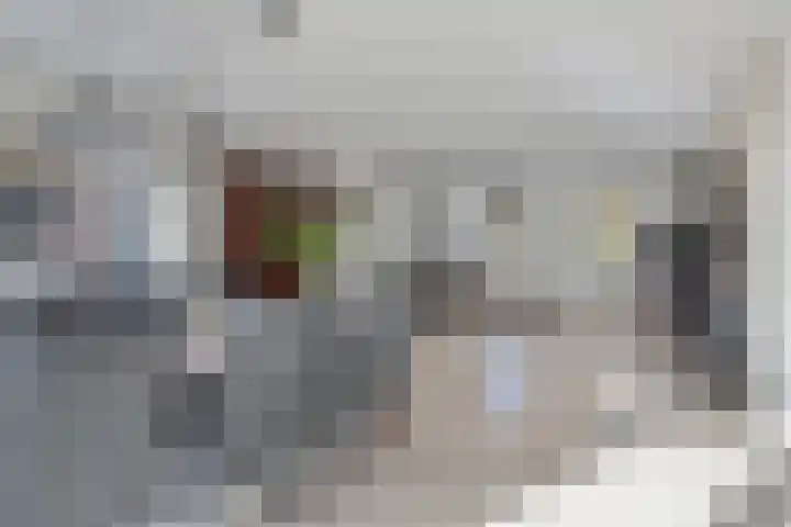 Fonteinkruid 9 Bergen op Zoom thumbnail 11