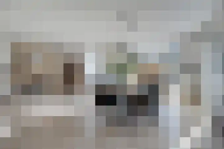 Fonteinkruid 9 Bergen op Zoom thumbnail 12