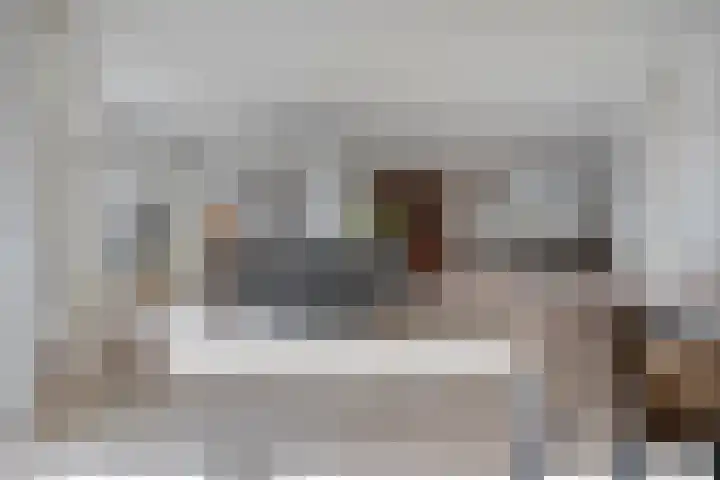 Fonteinkruid 9 Bergen op Zoom thumbnail 15