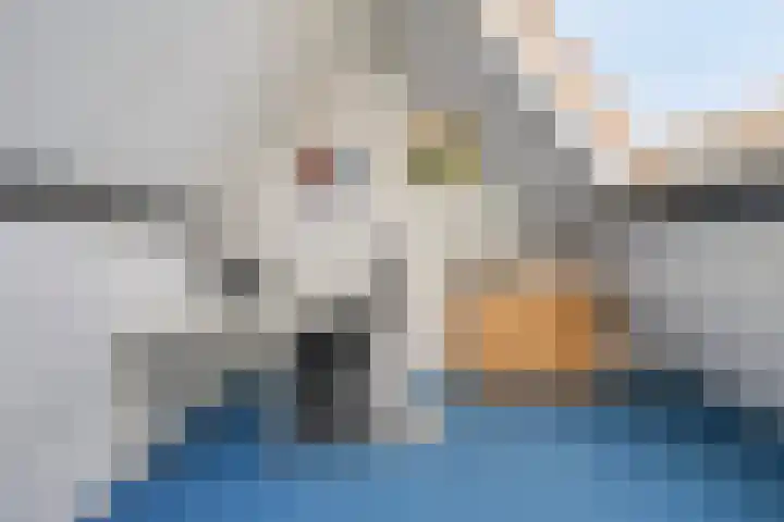 Fonteinkruid 9 Bergen op Zoom thumbnail 38