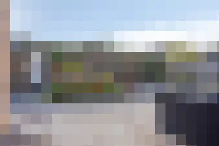Fonteinkruid 9 Bergen op Zoom thumbnail 42