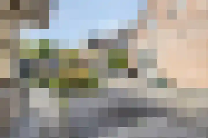Fonteinkruid 9 Bergen op Zoom thumbnail 43