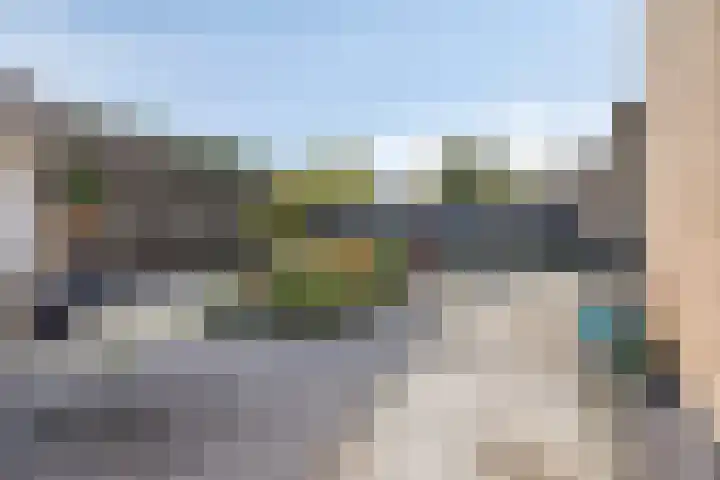 Fonteinkruid 9 Bergen op Zoom thumbnail 44