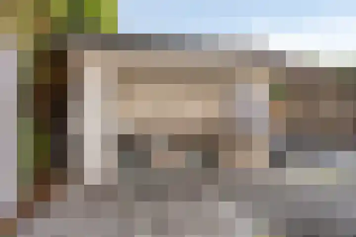 Fonteinkruid 9 Bergen op Zoom thumbnail 45