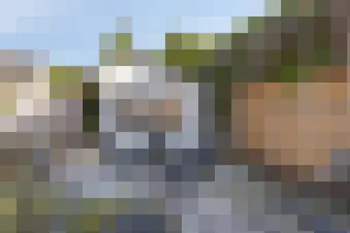 Fonteinkruid 9 Bergen op Zoom thumbnail 46