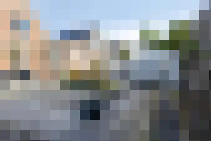Fonteinkruid 9 Bergen op Zoom thumbnail 47