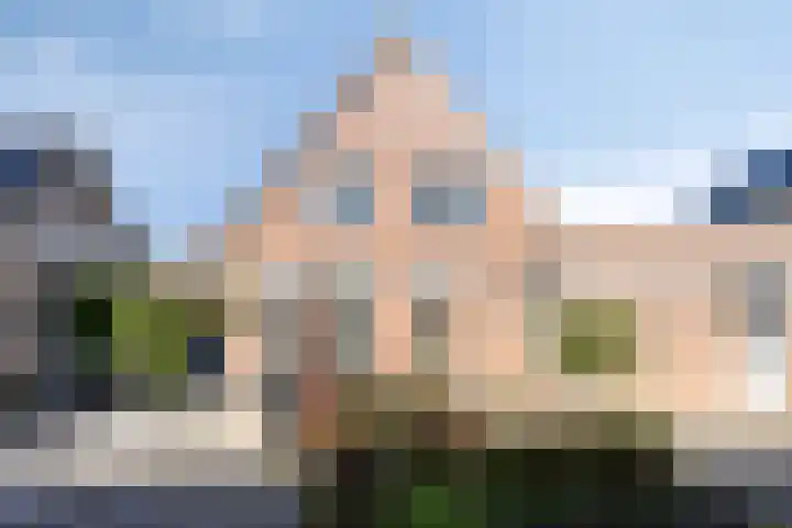 Fonteinkruid 9 Bergen op Zoom thumbnail 50