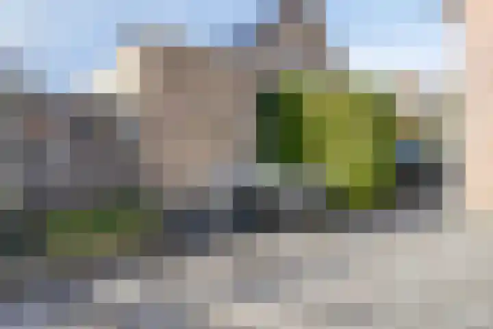 Fonteinkruid 9 Bergen op Zoom thumbnail 51