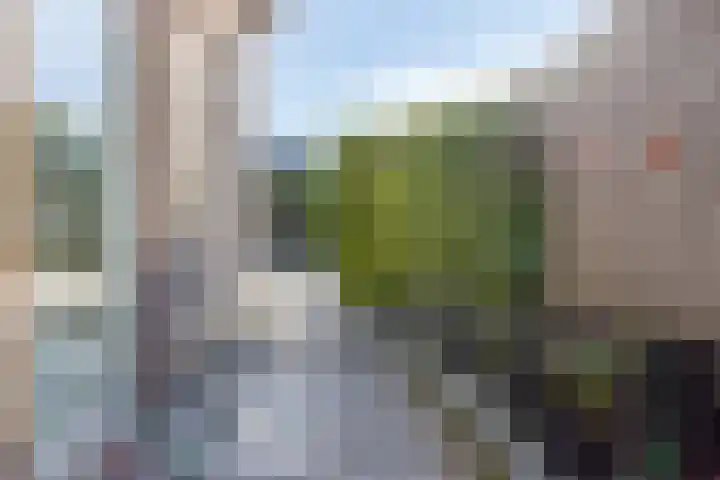 Fonteinkruid 9 Bergen op Zoom thumbnail 52