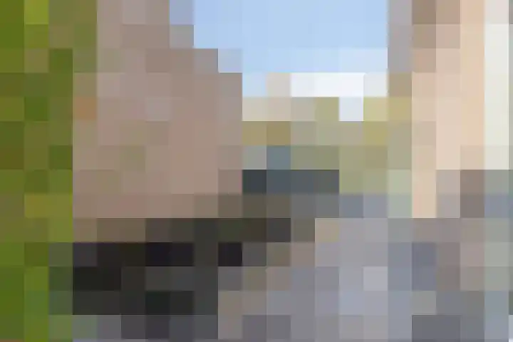 Fonteinkruid 9 Bergen op Zoom thumbnail 53
