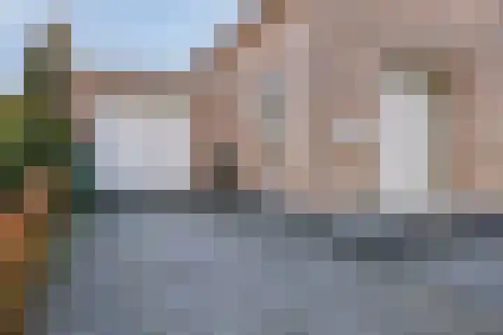 Fonteinkruid 9 Bergen op Zoom thumbnail 56