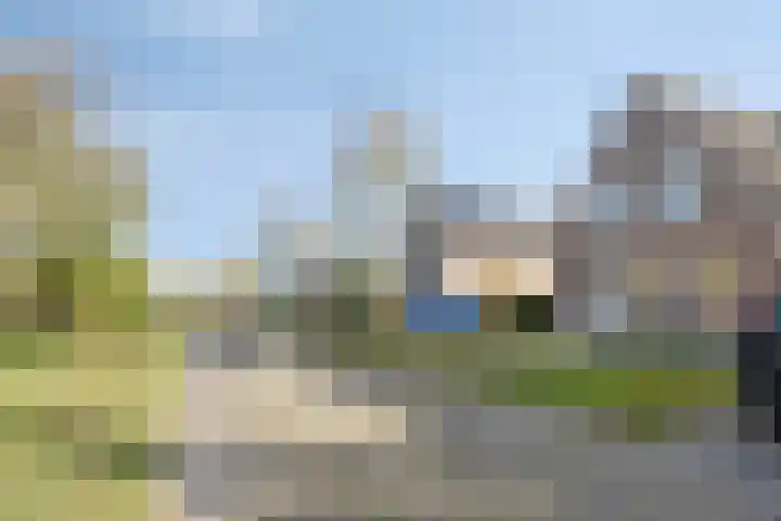 Fonteinkruid 9 Bergen op Zoom thumbnail 57