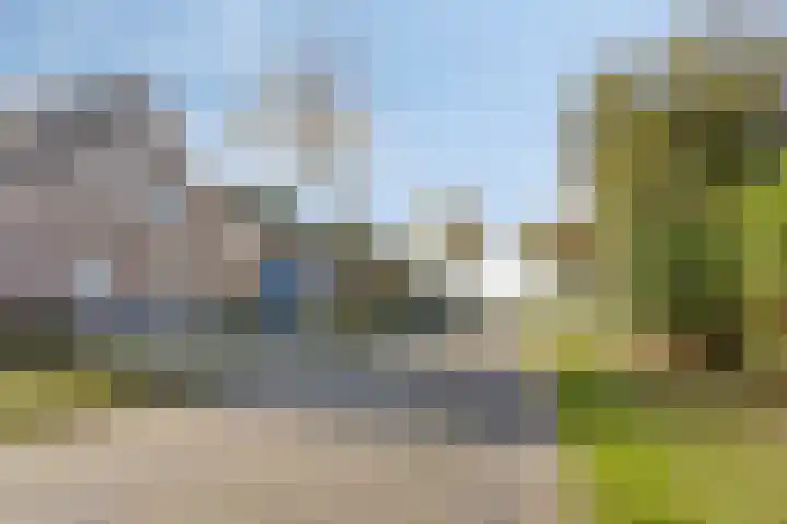 Fonteinkruid 9 Bergen op Zoom thumbnail 58