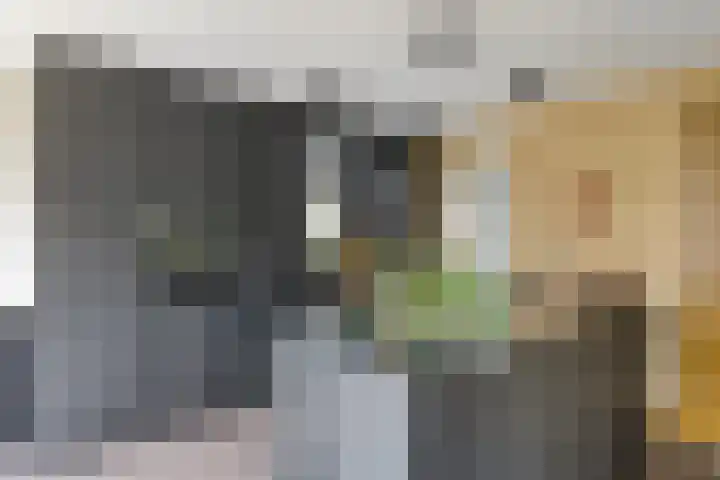 Fonteinkruid 9 Berlicum thumbnail 12