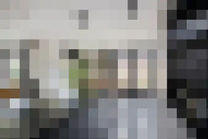Fonteinkruid 9 Berlicum thumbnail 13
