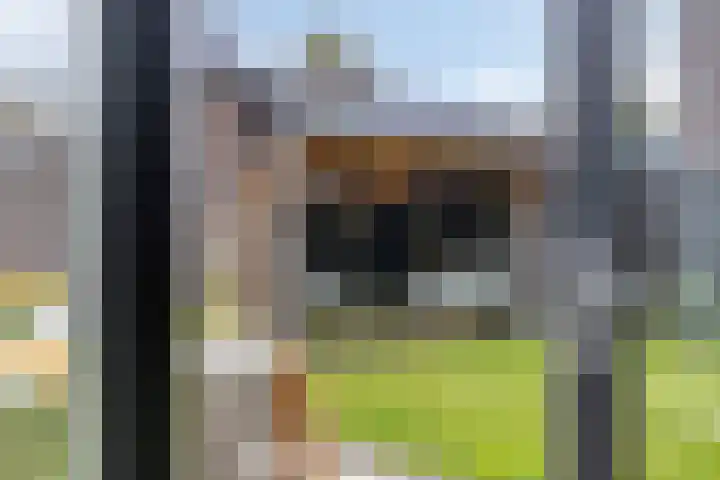 Fonteinkruid 9 Berlicum thumbnail 17
