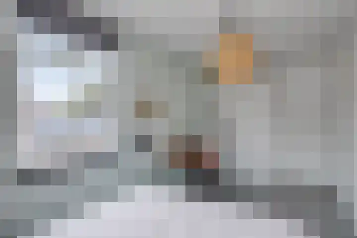 Fonteinkruid 9 Berlicum thumbnail 28