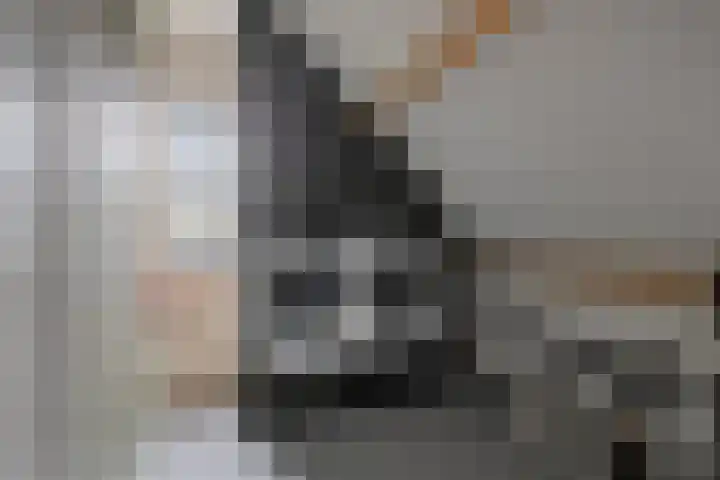 Fonteinkruid 9 Berlicum thumbnail 31