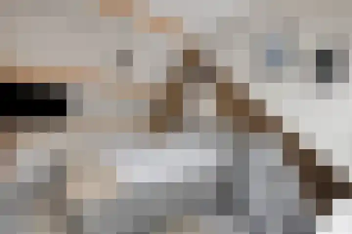 Fonteinkruid 9 Berlicum thumbnail 36