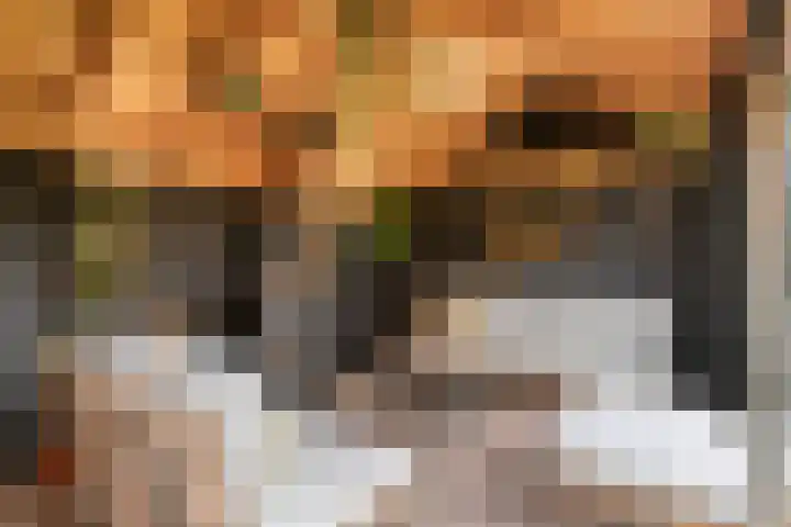 Fonteinkruid 9 Berlicum thumbnail 38