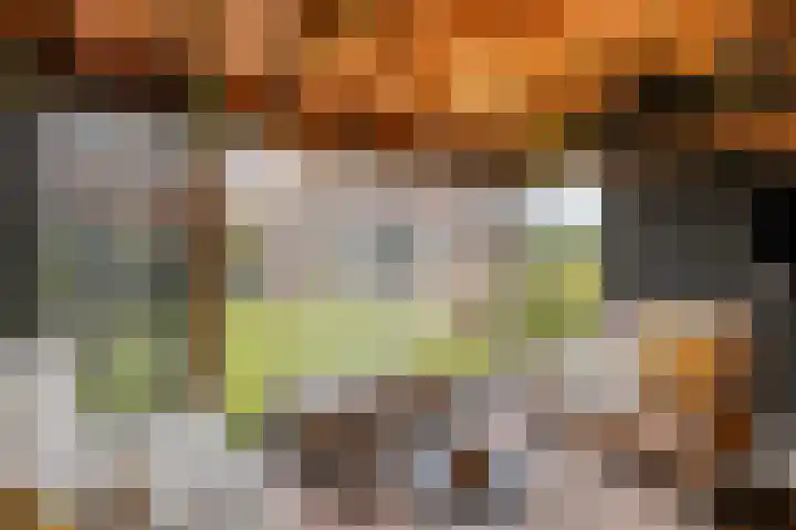 Fonteinkruid 9 Berlicum thumbnail 39