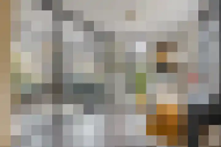 Fonteinkruid 9 Berlicum thumbnail 4