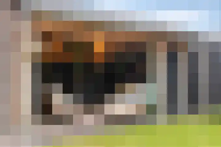 Fonteinkruid 9 Berlicum thumbnail 41