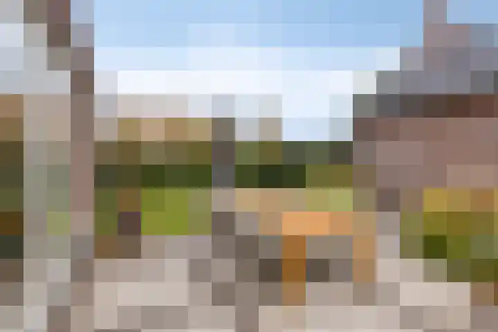 Fonteinkruid 9 Berlicum thumbnail 43