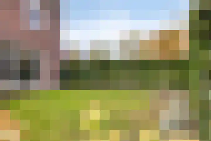 Fonteinkruid 9 Berlicum thumbnail 44