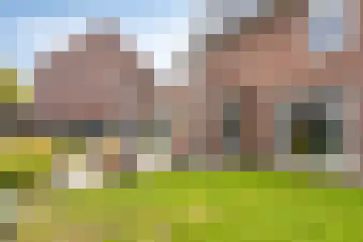 Fonteinkruid 9 Berlicum thumbnail 45