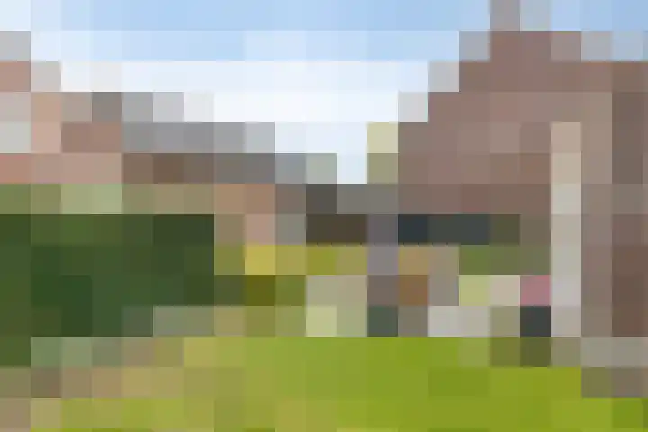 Fonteinkruid 9 Berlicum thumbnail 46
