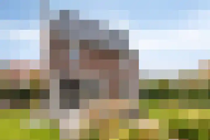 Fonteinkruid 9 Berlicum thumbnail 47