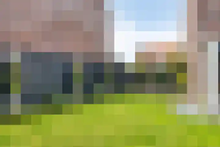 Fonteinkruid 9 Berlicum thumbnail 49