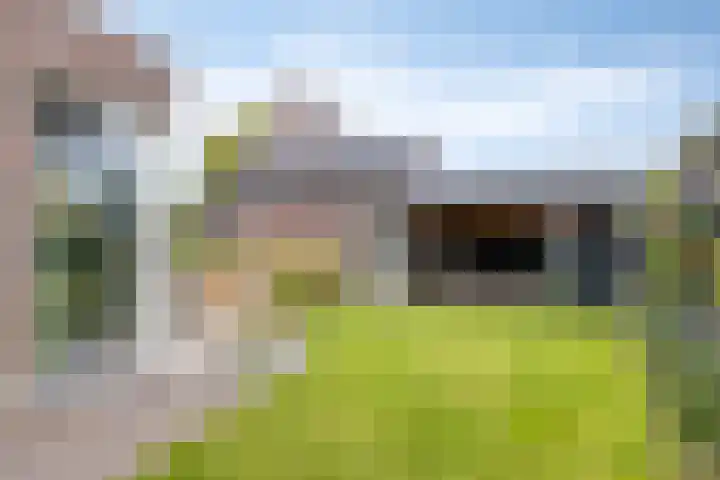 Fonteinkruid 9 Berlicum thumbnail 50